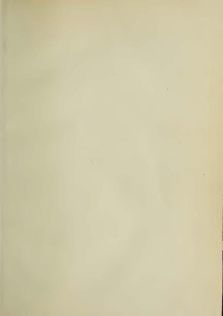 Image of page -6