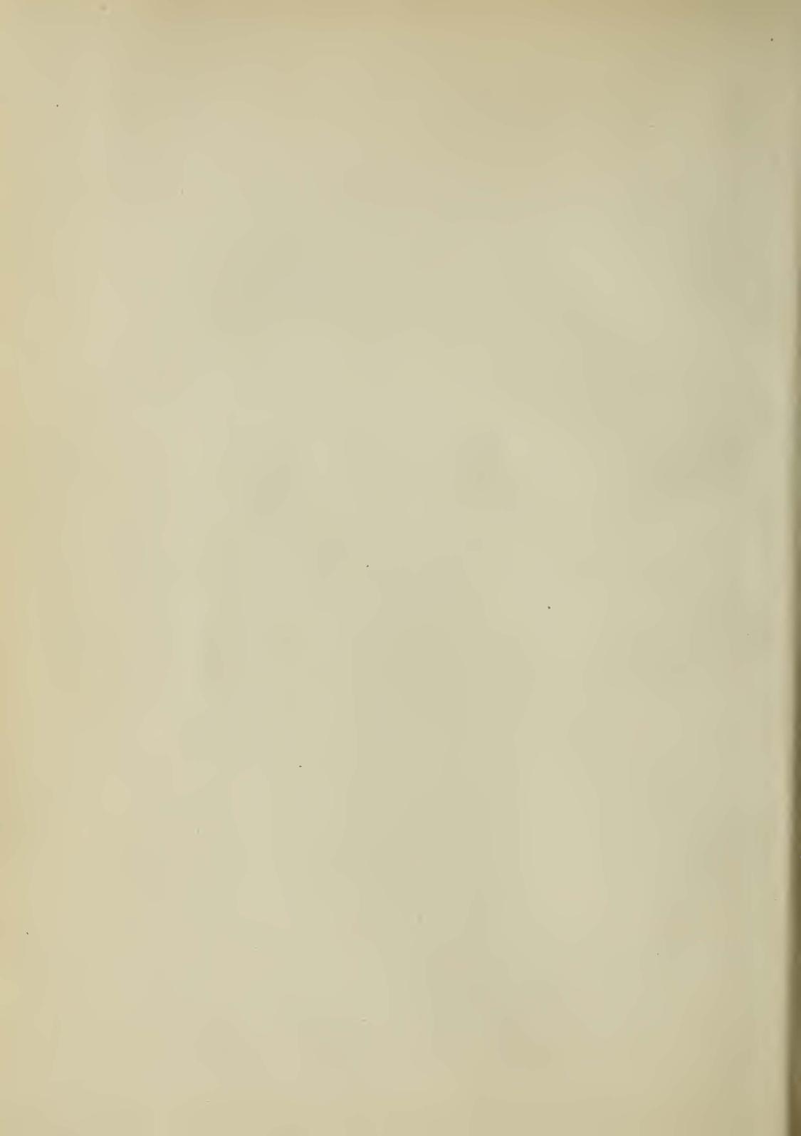 Image of page -3