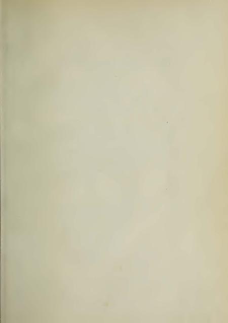 Image of page -2