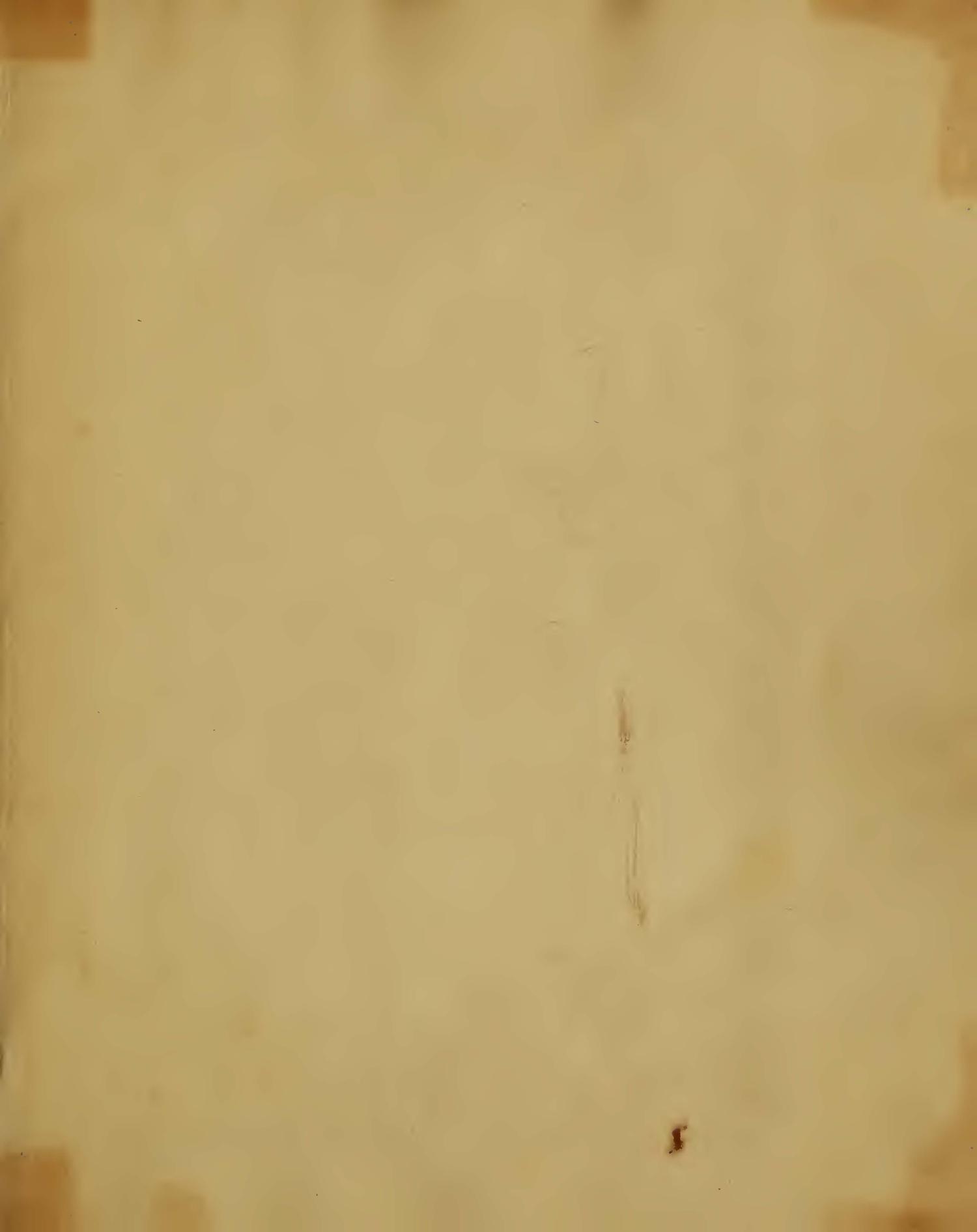 Image of page -2