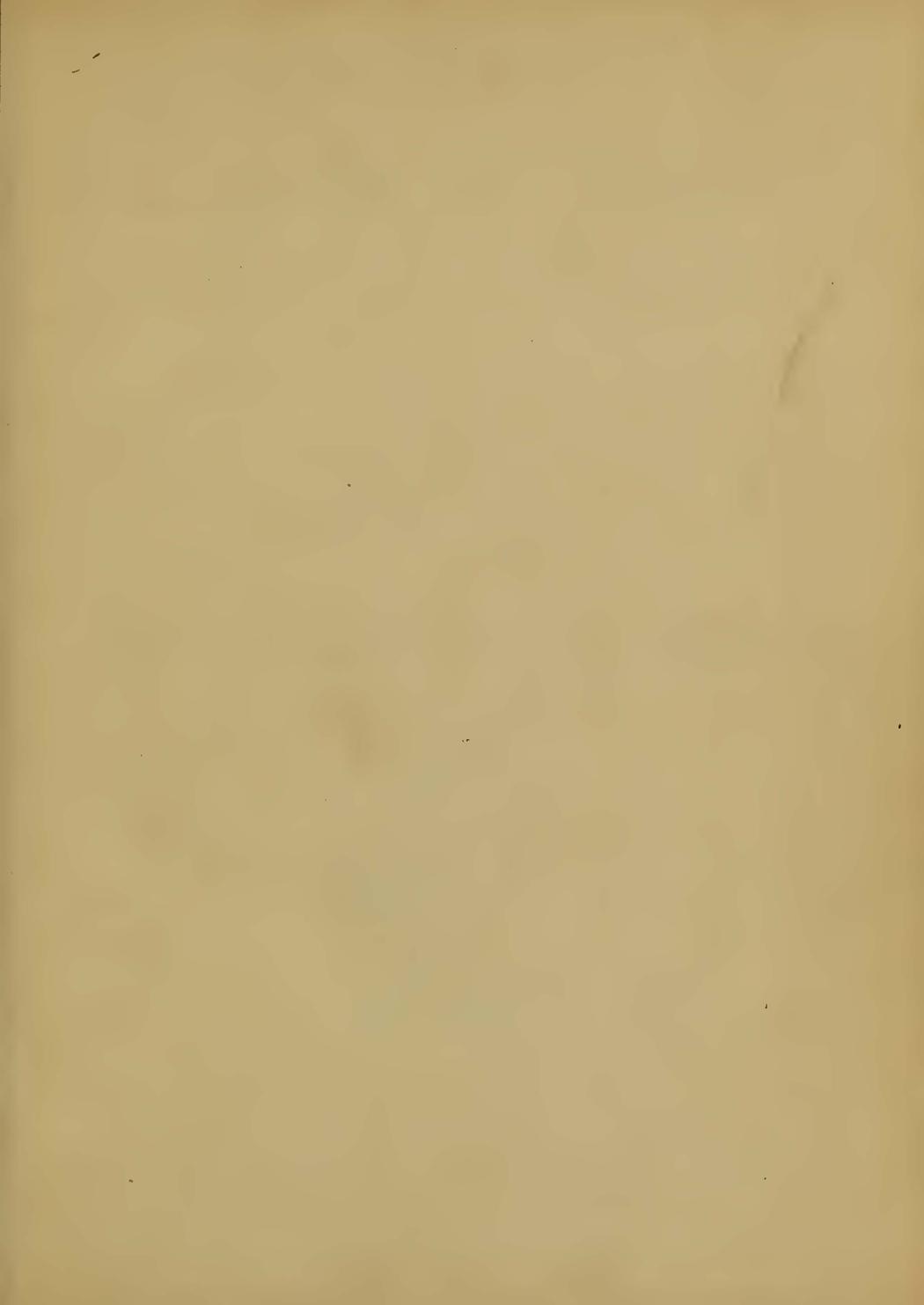 Image of page -2