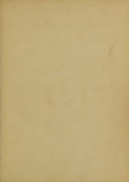 Image of page -2