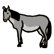 horse2-vb.gif