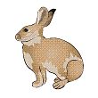 rabbit.gif