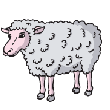 sheep.gif