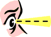 see1.gif