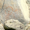 Harrison pictograph 139.jpg