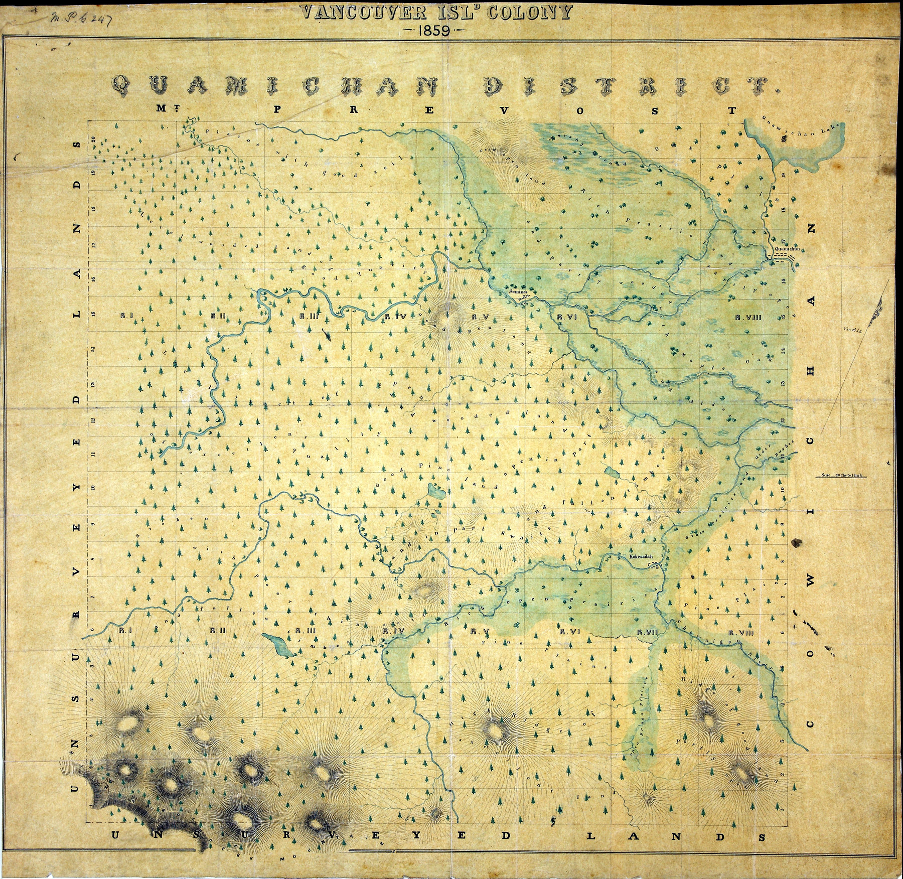 Quamichan District, 1859.