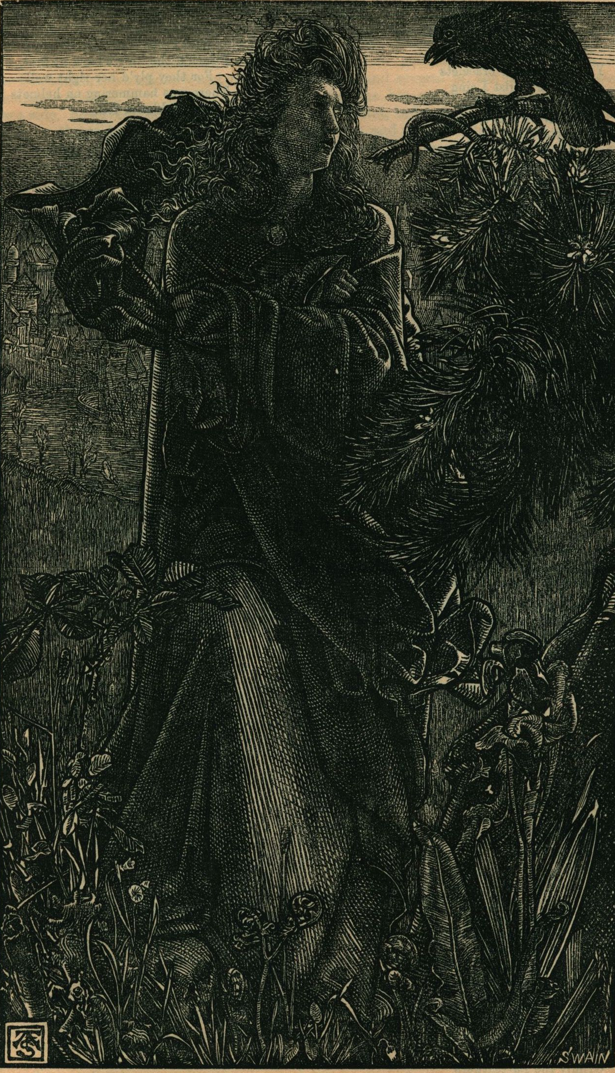 Harald Harfagr -
                                Valkyrie and Raven