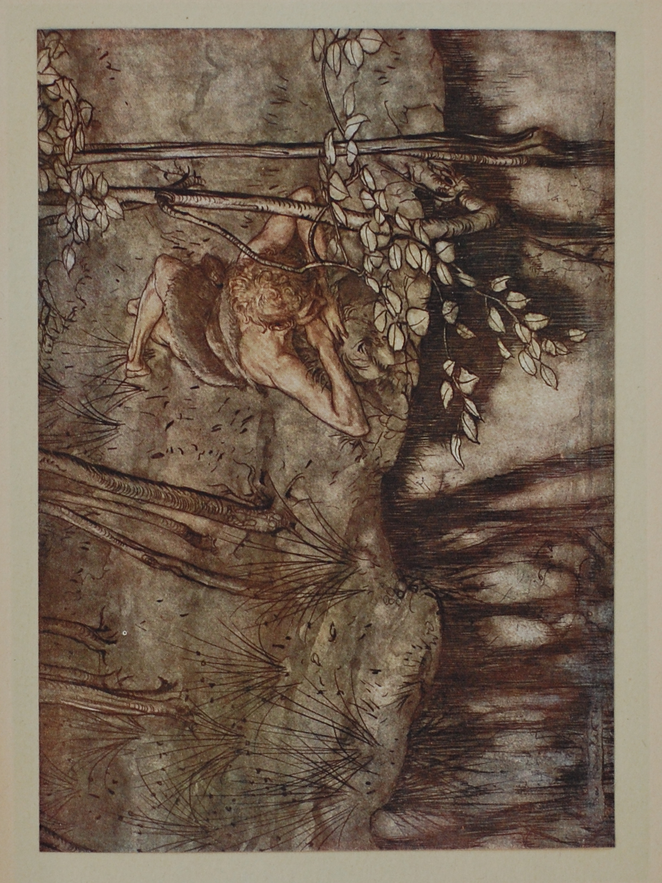 Siegfried Sees His Reflection