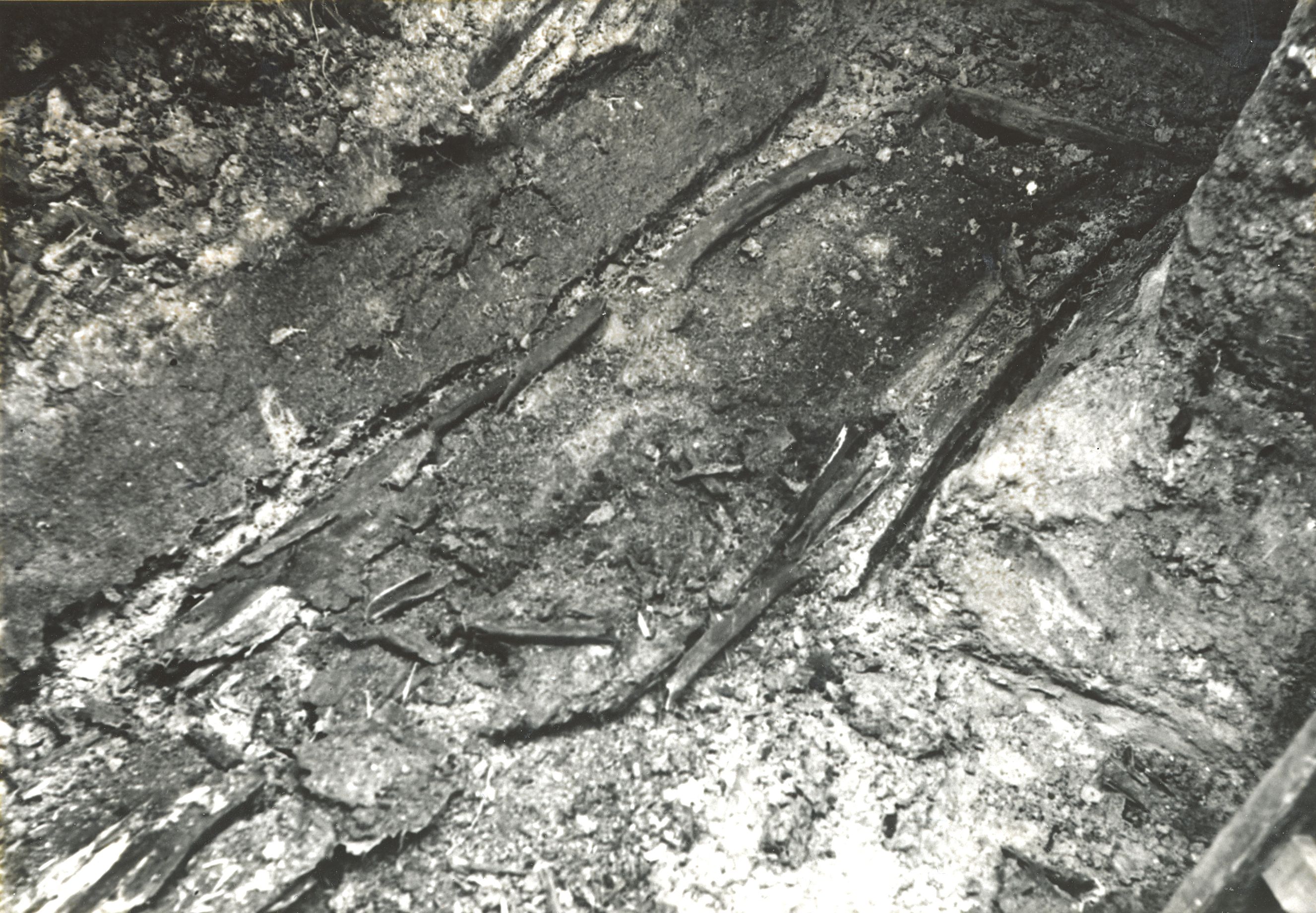 The last photograph of Jónas Hallgrímsson, taken in the Assistens-churchyard in Copenhagen on August 31, 1946. Photograph: N.N. © Icelandic National Museum.